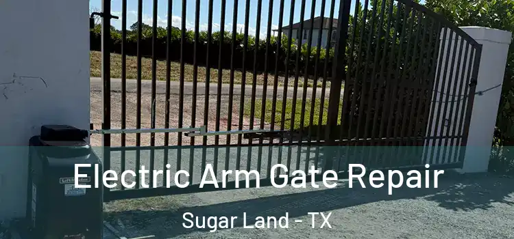 Electric Arm Gate Repair Sugar Land - TX