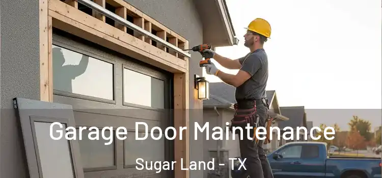 Garage Door Maintenance Sugar Land - TX