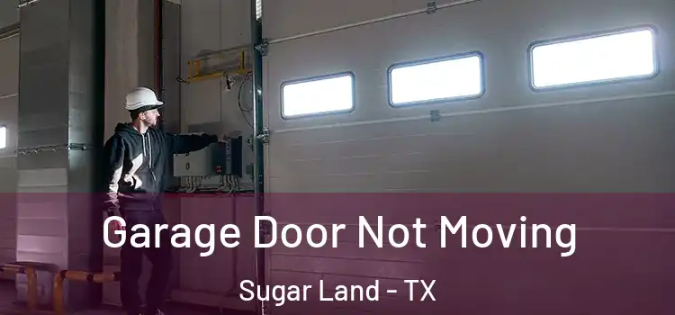  Garage Door Not Moving Sugar Land - TX