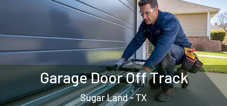  Garage Door Off Track Sugar Land - TX