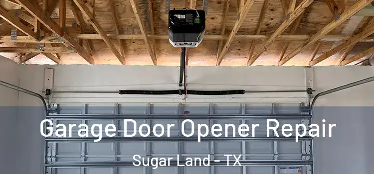  Garage Door Opener Repair Sugar Land - TX
