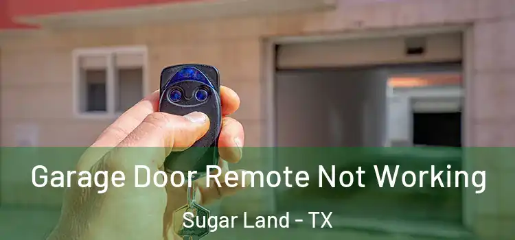  Garage Door Remote Not Working Sugar Land - TX