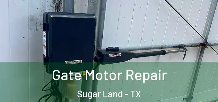 Gate Motor Repair Sugar Land - TX