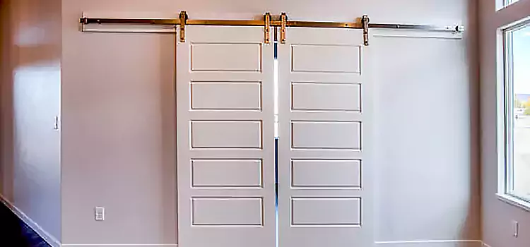 Glass Barn Door with Installation Hardware Kit Sugar Land