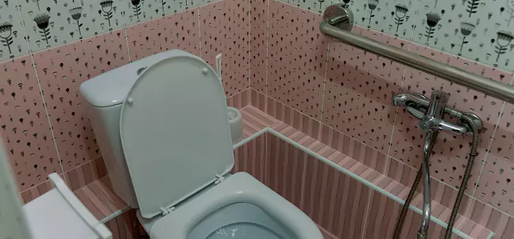 Meeting Diverse Needs With Accessible Restroom Solutions in Sugar Land, TX