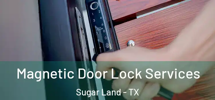 Magnetic Door Lock Services Sugar Land - TX